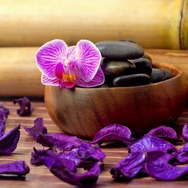 Oasis Massage Salon – Feel divine with our heavenly therapies.